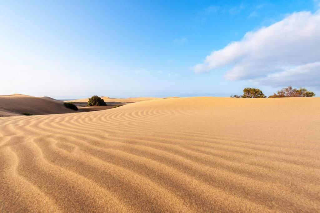 Duplex Con Jardin Y Buenas Vistas Lägenhet Maspalomas  Exteriör bild